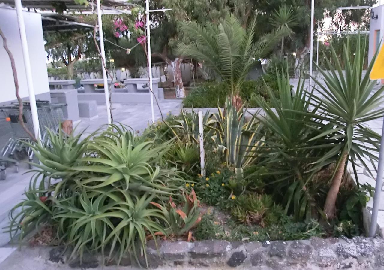 Santorini Camping & Hostel Fira  Eksteriør bilde