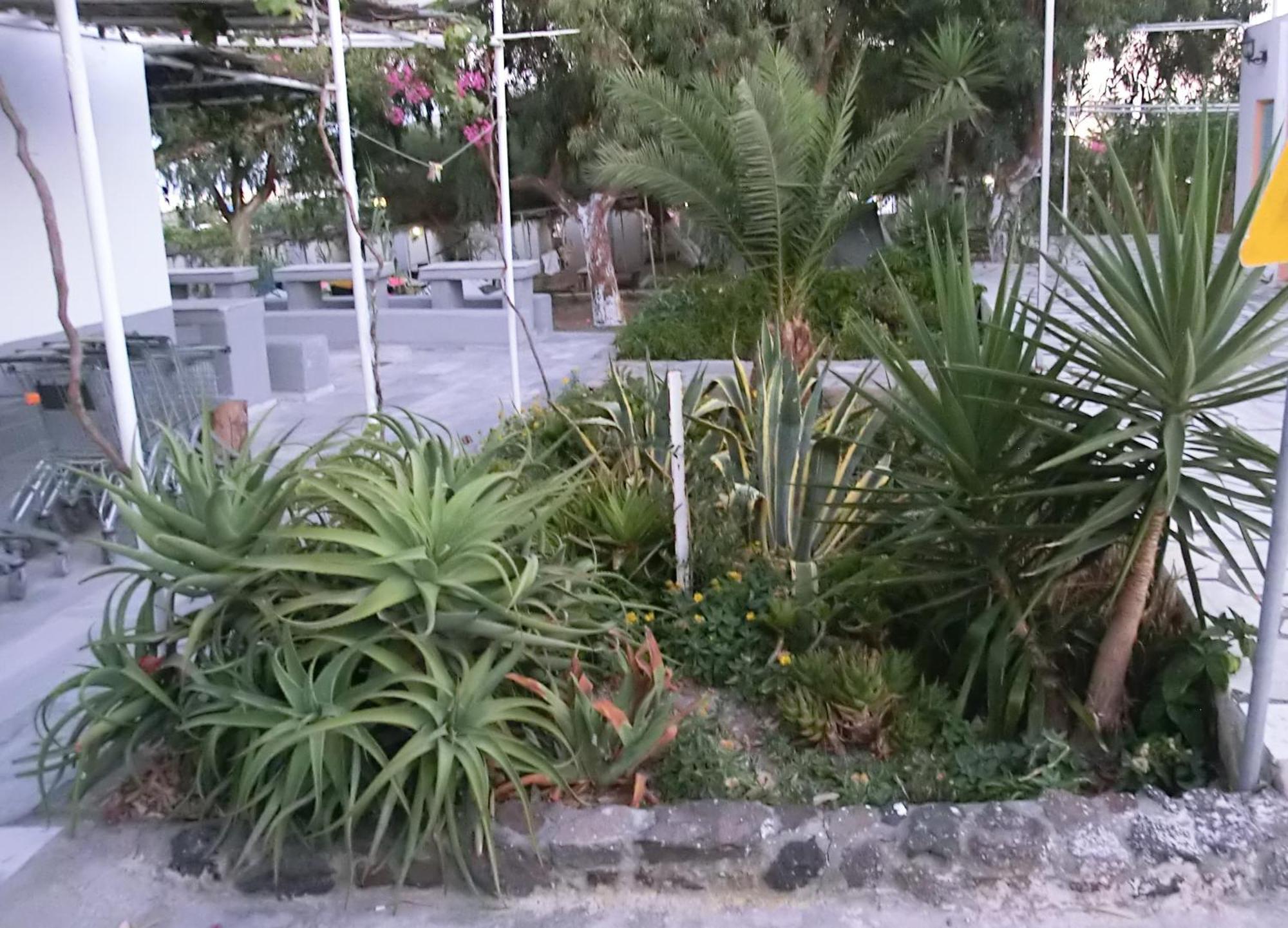 Santorini Camping & Hostel Fira  Eksteriør bilde